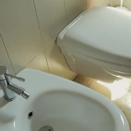 Domus Solis Lupiae *