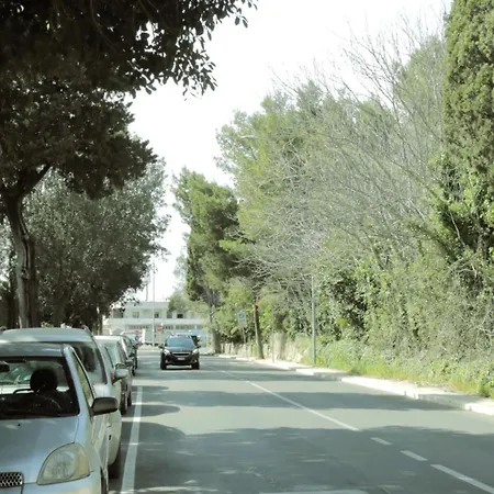 Domus Solis Lupiae Lecce